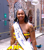 STT Parade-17
