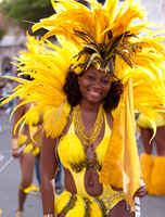Yellow Feather